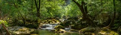 panorama of a river and its lush environment