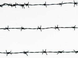 Horizontal thorn fence image. Barbed wire on white background.