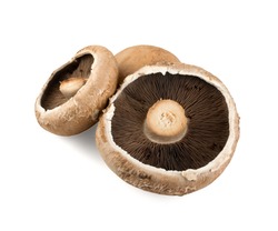 Whole portobello mushrooms, portabella or portobella isolated on white background. Big brown champignons with clipping path