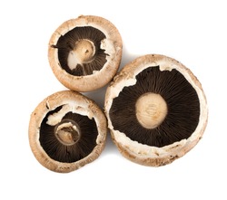 Whole portobello mushrooms, portabella or portobella isolated on white background. Big brown champignons top view