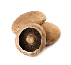 Whole portobello mushrooms, portabella or portobella isolated on white background. Big brown champignons