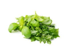 Fresh green chopped basil leaves isolated on white background. Spicy aromatic sliced raw basilic or ocimum herbs top view