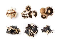 Whole portobello mushrooms, portabella or portobella isolated on white background. Dry black fungus, tree ear or wood ear mushrooms collection