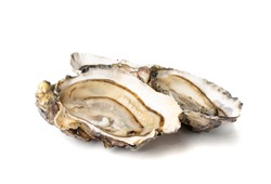 Fresh opened oyster half isolated on white background. Raw french oysters mollusc, shellfish or mussel closeup