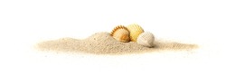 Shells in sand pile isolated. Seashell on sandy beach, ocean dune clams, summer seashore conches on white background, vacation concept