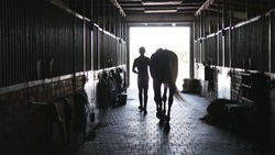 Young jockey walking with a horse out of a stable. Man leading equine out of barn. Male silhouette with stallion. Rear back view. Love for animal. Beautiful background.