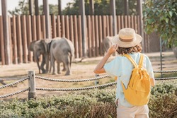 Woman student with a yellow backpack watches the behavior of elephants in a zoo or nature park reserve
