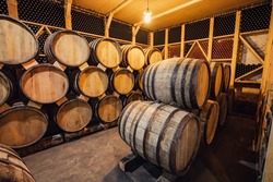 Vintage wine or cognac wooden oak barrels in the cellar of the winery. Aging and fermentation of an alcoholic drink as family business concept