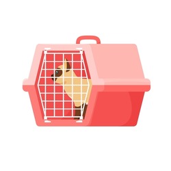 Cat in carrier. Plastic carrying case for traveling with pets or visiting veterinarian. Red cat in transportation box or kennel. Flat style vector