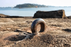recessed rusty steel rings, stuck in cobblestones on the ground by the sea for mooring boats