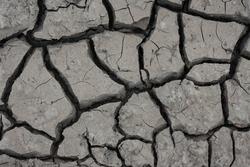 Soil structure chernozem crack drought