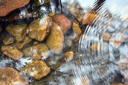 River pebbles under tranquil rippled stream water