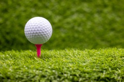 Golf ball is on pink tee on green grass background