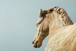Ancient roman marble statue of an horse at the top of Capitoline Hill in Rome, dated back to the 1st century BC (with copy space)