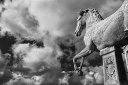 Ancient roman marble statue of an horse at the top of Capitoline Hill in Rome, dated back to the 1st century BC (Black and White)