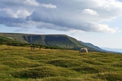 hay bluff, brecon beacons, powys, wales