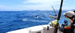 Big game fishing. Caught a marlin jumping near the boat.