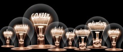 Photo of light bulb with shining fibers in shapes of CAREER concept related words isolated on black background