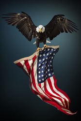 North American Bald Eagle with American flag.