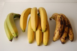 Banana ripening from yellow-green to brown, ethylene is a natural plant hormone