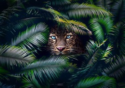 A wild cat lurking in the leaves in the jungle showing the face with emphasize on the eyes. Dramatic feeling. Concept design for themes like wildlife, wilderness, danger, power and more