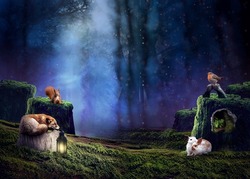 Beautiful forest at night with cute wild animals. Fantasy fairy tale feel. Fantasy misty landscape with a soft feeling with light magical effects. Perfect for a backdrop, background 