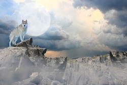 Wolf standing on a mountain under a full moon.
