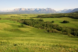 Summer view of meadows, forests and mountains in waterton lakes national park, alberta, canada