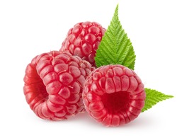 Isolated berries. Three raspberry fruits with leaves isolated on white background with clipping path