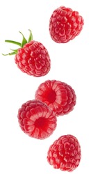 Isolated flying berries. Falling raspberry fruits isolated on white background with clipping path