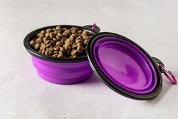 Lilac Foldable Silicone Cat or Dog Bowl with Food Gray Background Horizontal