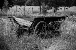 Old abandoned wooden wagon overgrown with grass.