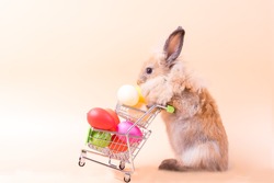 Easter bunny rabbit with egg in Shopping cart. Easter holiday sale.