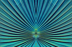 abstract blue striped, tropical palm leaf texture, natural line pattern, nature background