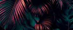 Tropical leaves, dark jungle background, color toned
