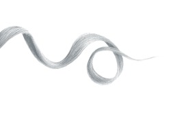 Gray hair wavy stripe on white, isolated
