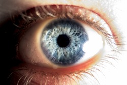 Closeup of blue human eye