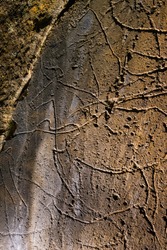 Engravings of Penascosa Archaeological Site of paleolithic rock art open-air paintings in Castelho Melhor village within Côa Valley in northern Portugal in Europe