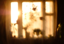 Conceptual blurred image in warm vintage tones of a window with different houseplants at sunset or sunrise.