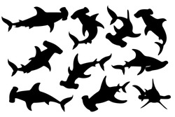 Black silhouette set of hammerhead shark underwater giant animal simple cartoon character design flat vector illustration isolated on white background
