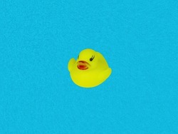 Children's toy bird yellow duckling on a blue background of water. Duck bird. Kids toys. Blue water color background. Little ducklings. An object of entertainment for kids.