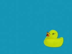Children's toy bird yellow duckling on a blue background of water. Duck bird. Kids toys. Blue water color background. Little ducklings. An object of entertainment for kids.