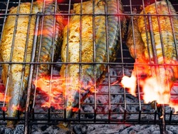 Mackerel fish is baked on a metal grill in a flame of fire. Mackerel fish. Barbecue cooking. Grill metal grate. The flame of a bonfire fire. Seafood food. Fishing trophy. Fisherman's cuisine.
