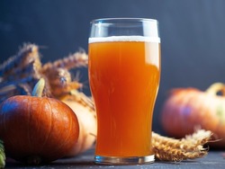 Pumpkin ale, craft seasonal beer in a glass. Ripe pumpkins, ears of wheat, dark background