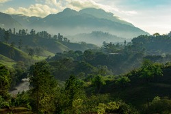 Guatemala Sunrise In The Jungle