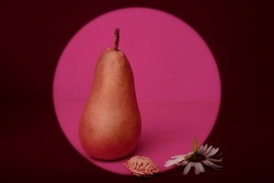 Still life - green pear on a bright colored background. Light background design- clipart for high quality creative work