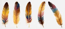 Hand painted watercolor bird feathers closeup isolated on white background colorful set. Art scrapbook elements, sketch, hand drawn