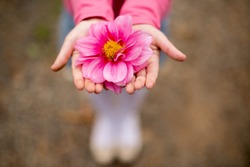 Flower in a kids hand