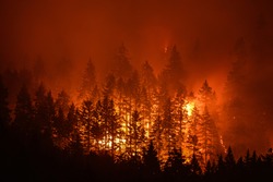 Eagle Creek Wildfire in Columbia River Gorge, Or