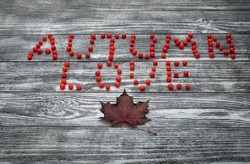 Words autumn love are written with rowan berries and maple leaf on wooden background, top view